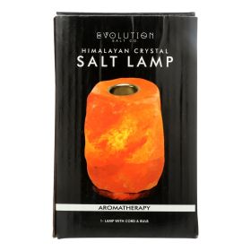 Evolution Salt Crystal Salt Lamp - Aromatherapy - 1 Count